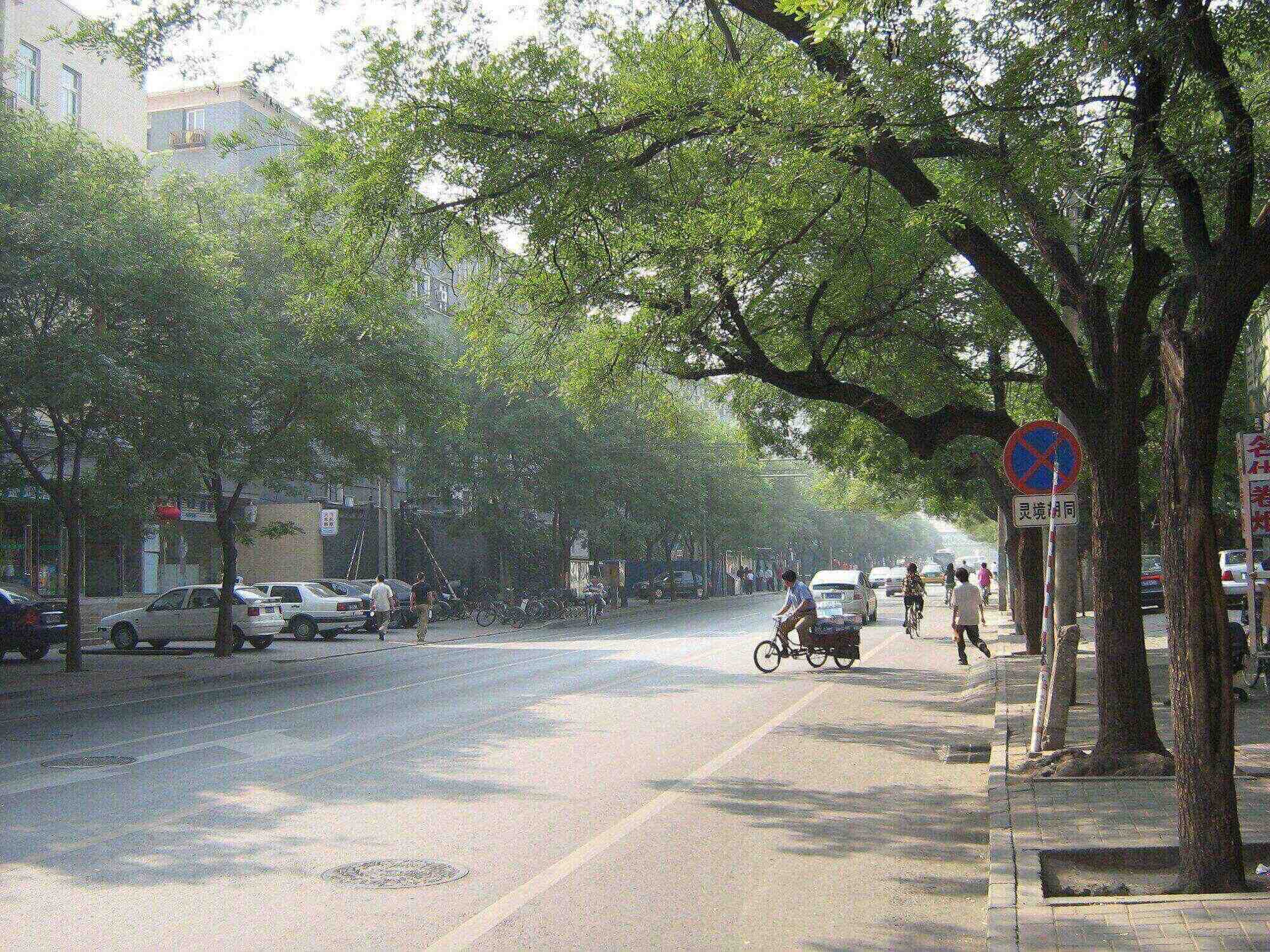 Cricket Song with a Hutong Master